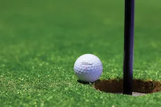 DB Golf hole and ball 233x155